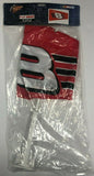 Winners Circle Dale Earnhardt Jr #8 NASCAR 14" x 22"  Car Pole Flag WindSock