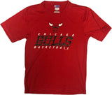 Chicago Bulls Basketball Men's Active Fabric Short Sleeve T-Shirt Red