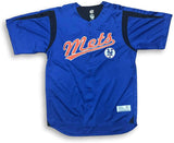 DYNASTY New York Mets Button Down Embroidered Mens Jersey XL