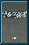 MLB TORONTO BLUE JAYS  RETRO LOGO 22" x 34" Logo Poster