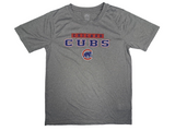 Chicago Cubs Boy's MLB Dry Active Fabric T-Shirt XL 16/18 Gray