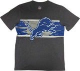 G-III Detroit Lions Big Time 2 Sided Sleeve Men's T-Shirt CHOOSE SIZE