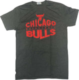 Chicago Bulls Men's Short Sleeve T-Shirt Gray Medium