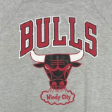 Chicago Bulls Windy City Men's Gray Sweatshirt Small