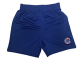 MLB Chicago Cubs Baseball Toddler Shorts Size 4T