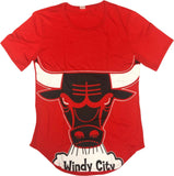 Chicago Bulls Women's Windy City Short Sleeve Scoop T-Shirt Red Medium