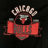 Chicago Bulls Basketball Est 1966 Men's Short Sleeve T-Shirt Black Large