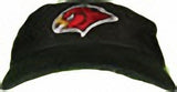 NBA Atlanta Hawks Officially Licensed Adjustable Sports Visor