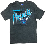 NBA Charlotte Hornets Men's Short Sleeve T-Shirt Gray Small