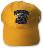 New Orleans Hornets Reebok NBA Self Stap RETRO Logo Casual Men's Hat