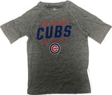 Chicago Cubs MLB Men's Dri-Fit T-Shirt SMALL